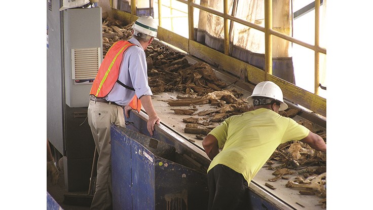 Keys to success for municipal C&D recycling programs